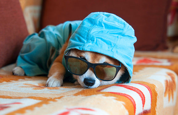 Why so sad on Monday's. Monday Blues, iiwiiyolo, it is what it is